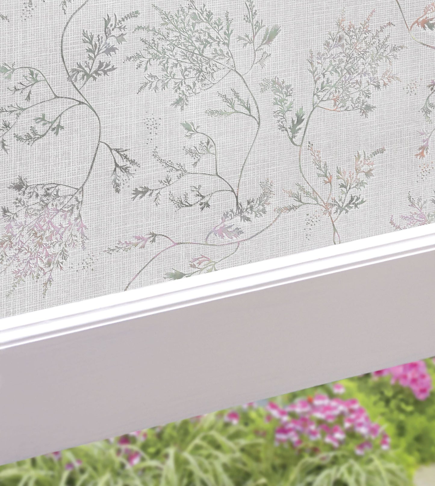 Sparkly and private, Silver Fern's delicate foliage will be a great addition to any room.